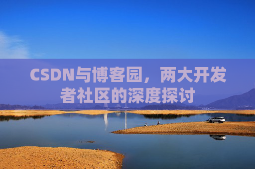 CSDN与博客园，两大开发者社区的深度探讨
